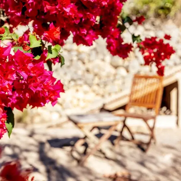 detalleJardin